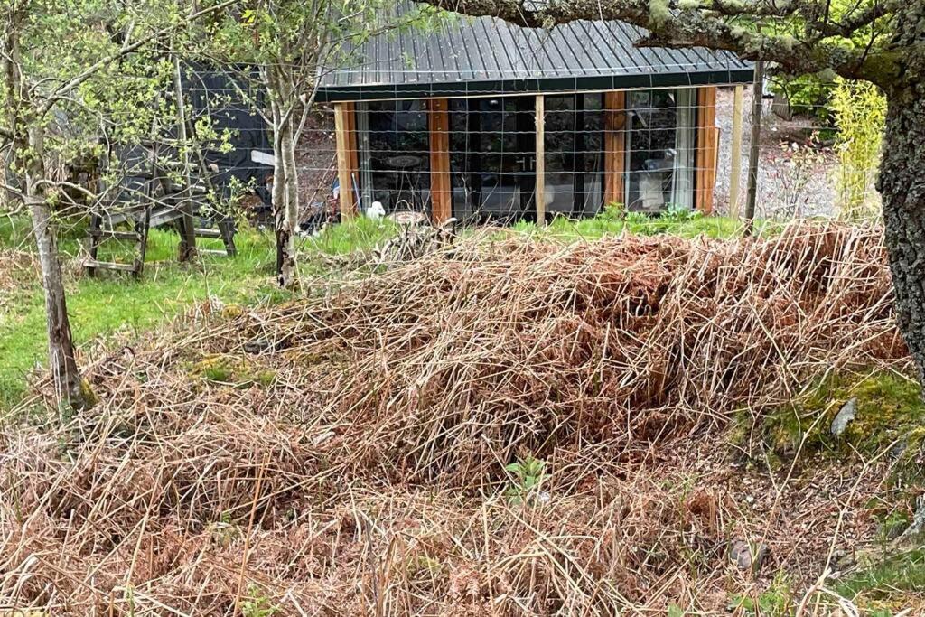Coorie Doon Cabin! Great Scottish Welcome 奥古斯都堡 外观 照片
