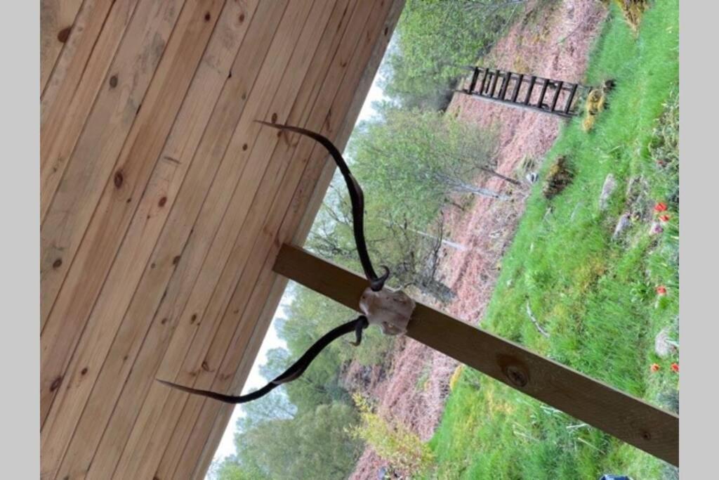 Coorie Doon Cabin! Great Scottish Welcome 奥古斯都堡 外观 照片