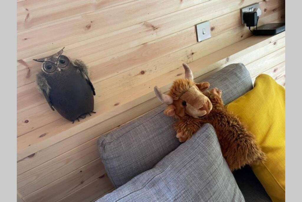 Coorie Doon Cabin! Great Scottish Welcome 奥古斯都堡 外观 照片