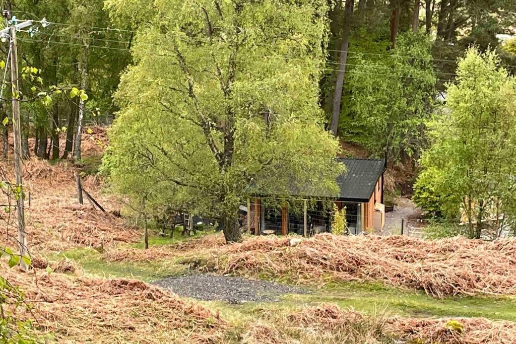 Coorie Doon Cabin! Great Scottish Welcome 奥古斯都堡 外观 照片